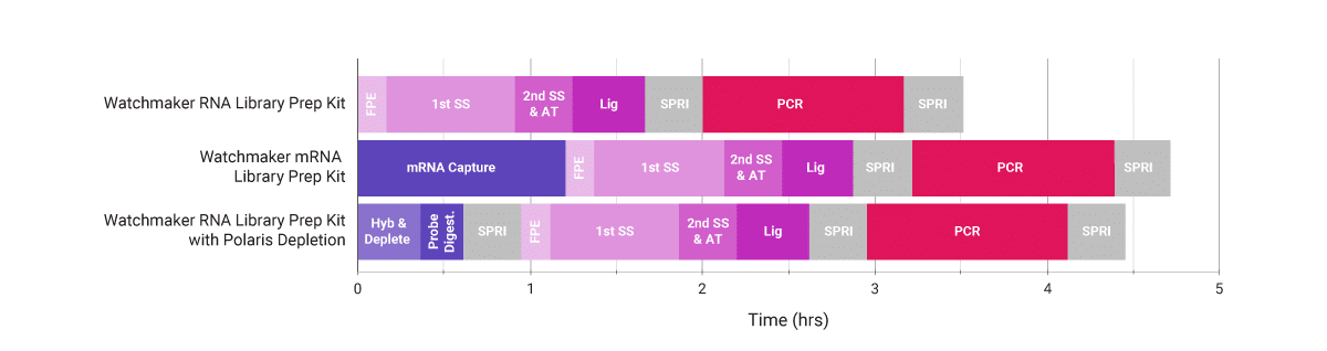 Watchmaker RNA Library Preparation Workflows